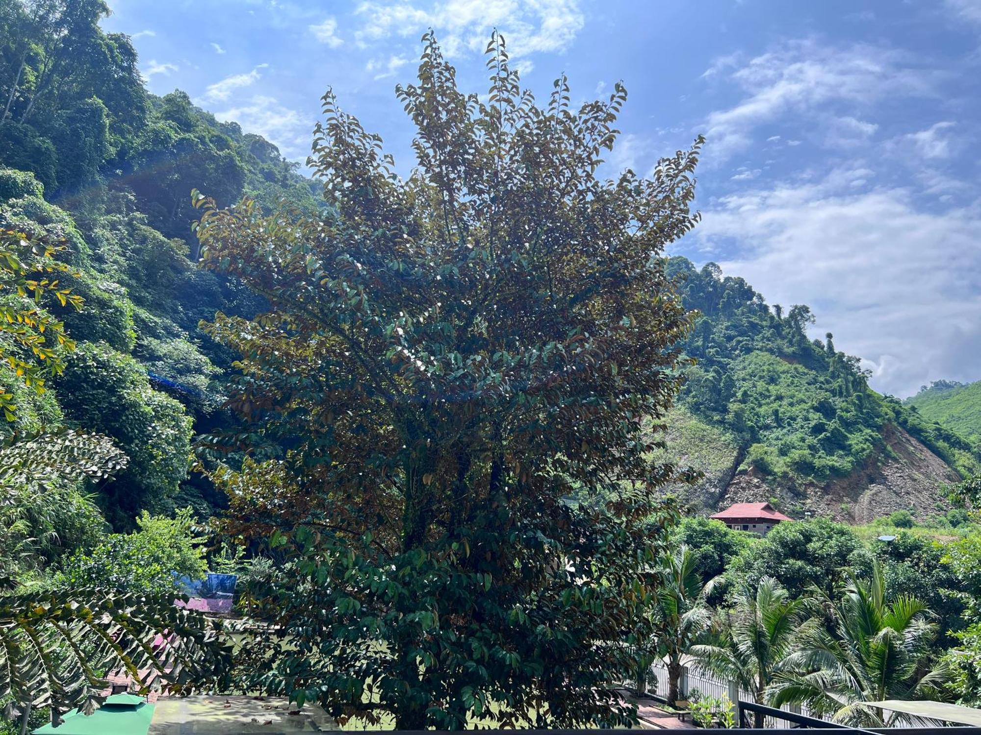 Wind'S House Ha Giang Bed & Breakfast Ngoại thất bức ảnh